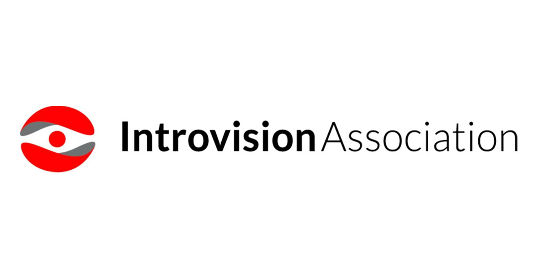 partner-introvision-association