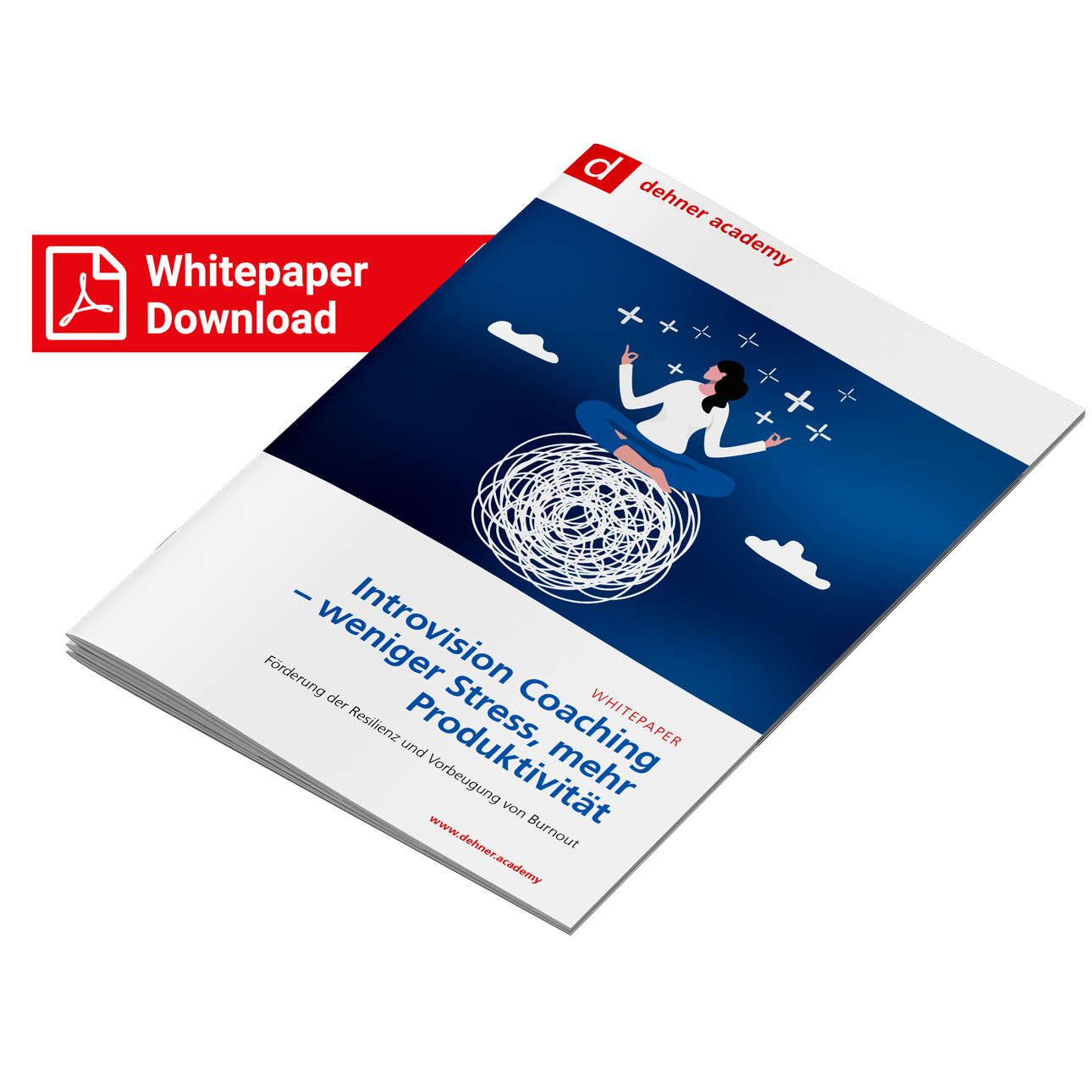 whitepaper-introvision-coaching-1-1-download