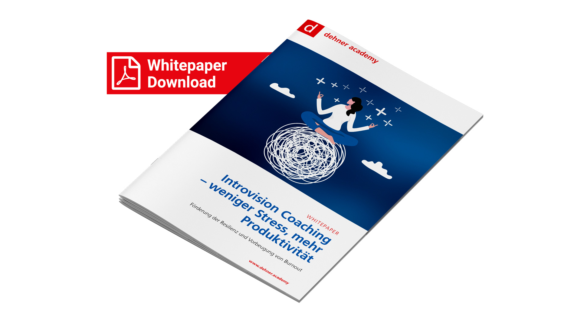 whitepaper-introvision-coaching-16-9-download